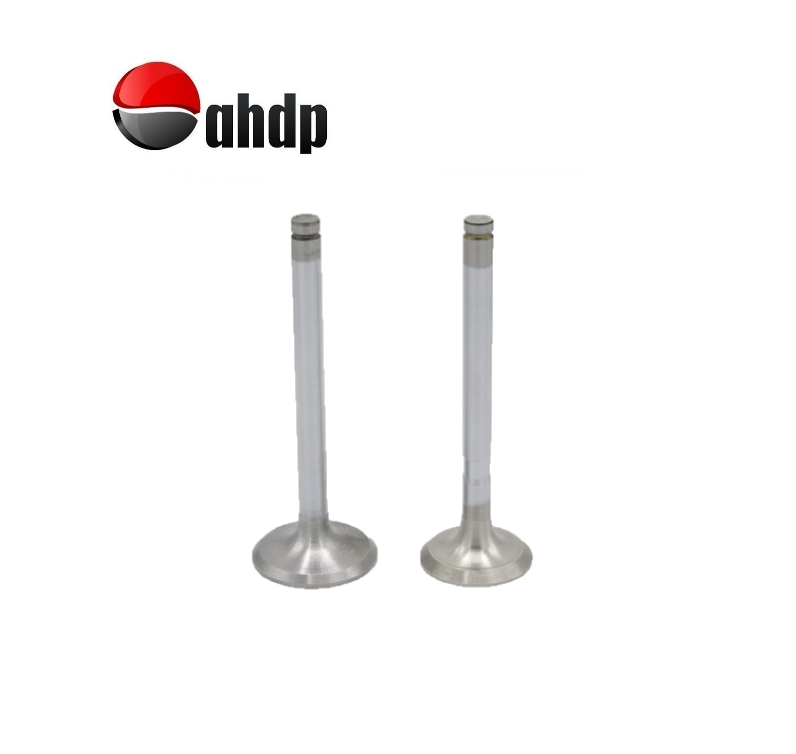 ENGINE VALVE SET IN+EX LOMBARDINI - LI019652015, LI019685019